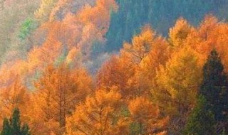 描写秋风的诗句 有关描写秋风的说说