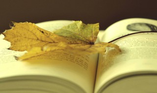 描写秋景古诗 描写秋景古诗有什么