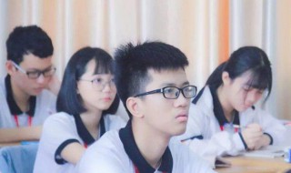 生而为人我很抱歉什么意思 这句话的含义