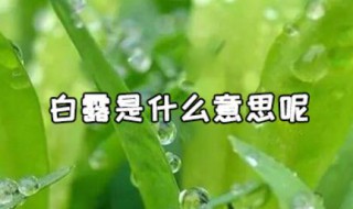 白露什么意思 白露的含义