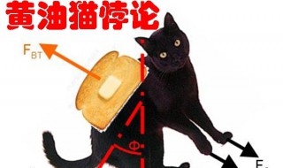 黄油猫悖论 黄油猫真的不会落地吗