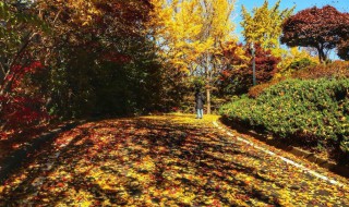 天气晚来秋的前一句 一起来看看