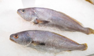 米鱼的做法 米鱼的做法介绍