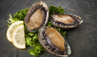 鲍贝怎么做好吃法 宴客菜鲍贝烩豆瓣简单做法