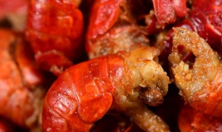 熟龙虾尾怎么保存 生鲜龙虾尾如何保存