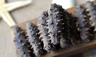 海参的好坏如何鉴别 主要有以下几招