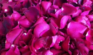 玫瑰酱的做法 玫瑰酱的做法介绍