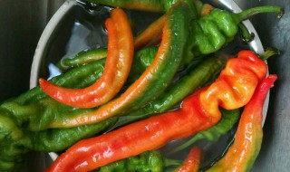 辣椒的腌制方法及步骤 辣椒的腌制方法