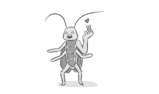 为什么会有蟑螂 看完就知道了