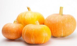 南瓜素馅做法大全集 做南瓜素馅的方法