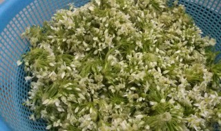 韭花酱做法 它有什么功效