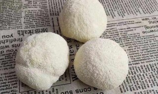 猴头菇冷冻的保存方法 猴头菇究竟要怎么保存呢