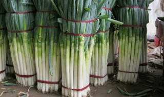 葱去除糊味的方法 大葱去糊味效果好的方法