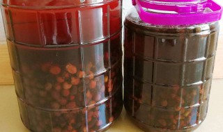 捻子酒的做法大全 这种做法最常见