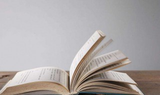 我只喜欢你赵露思小说是什么 小说的内容介绍