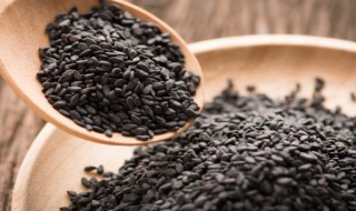 包芝麻丸的方法 包芝麻丸的方法介绍