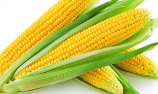 如何做简单又美味的玉米 家常简单好吃玉米做法