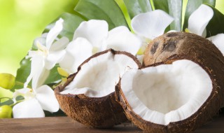 椰子肉最简单的做法 椰子玉米糊简单做