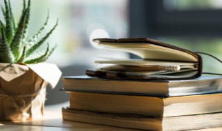 黄色预警代表什么 黄色预警介绍