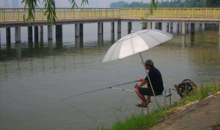路边钓鱼技巧 钓鱼技巧