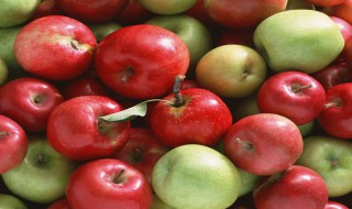 绿色食品的标准是什么 绿色食品的标准简述