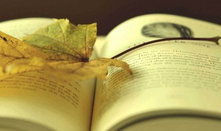 文心雕龙名句 文心雕龙名句列述