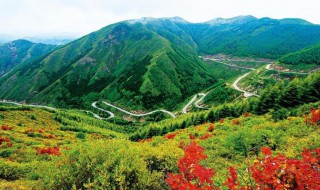 六盘山在哪里在什么省 六盘山的介绍