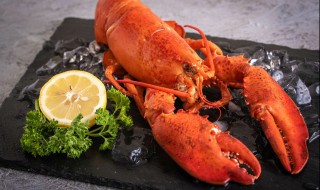大龙虾做法 大龙虾清蒸美味做法