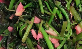 苋菜的做法大全 关于苋菜的做法