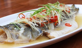 鲈鱼的家常做法 好吃的清蒸鲈鱼做法
