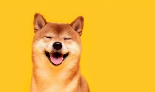 笑话句子 笑话句子精选