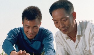 李必湖简介 李必湖的简介