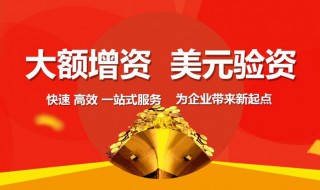 验资是什么意思 什么是验资