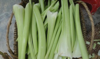 广西芋苗的腌制方法 广西芋苗腌制步骤