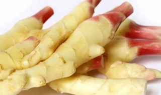 嫩姜怎么腌制方法 嫩姜如何腌制