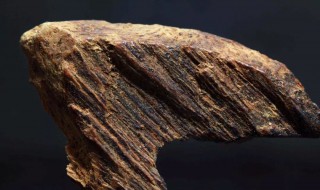 沉香木的鉴别方法 鉴别沉香木的方法