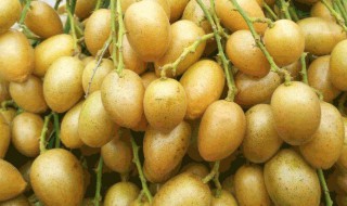 黄皮果酱的制作方法 黄皮果酱怎么制作