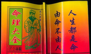 四两六的命通俗解释 四两六的命是什么意思