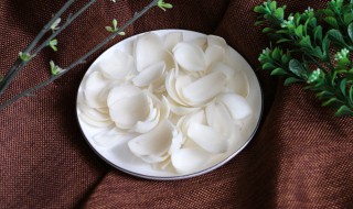 百合的做法大全家常菜 百合的功能