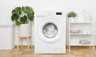 变频洗衣机是什么意思 什么是变频洗衣机