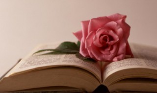 请君入瓮的意思是什么 请君入瓮成语解释