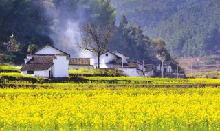 如何建设美丽乡村 建设美丽乡村方法