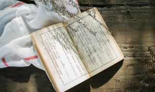 吱声怎么读 吱声如何读