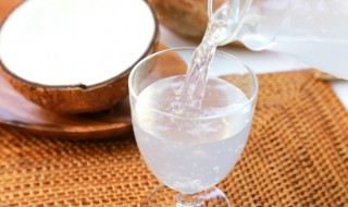 椰汁水果芋圆的做法 椰子汁清火还是上火