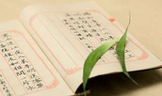 专业嫁接是什么意思 专业嫁接的意思