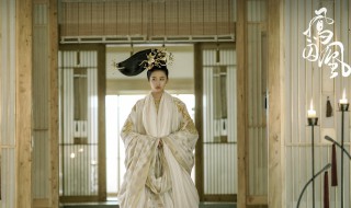 凤囚凰小说简介 凤囚凰小说介绍