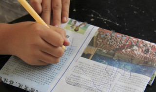 dare什么意思 dare的意思及例句