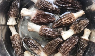 新鲜羊肚菌如何清洗 新鲜羊肚菌怎样清洗