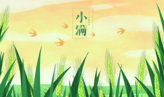 小满什么意思 小满的意思