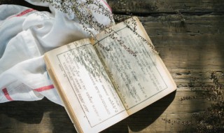 王观简介 王观是谁